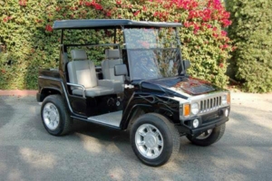 affordable golf cart rental, golf cart rent sacramento golf cart rental
